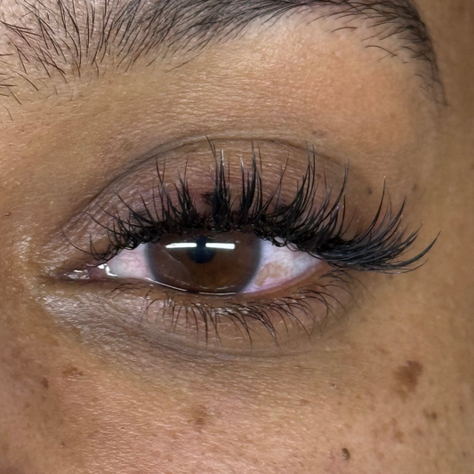 The Client Magnet Method - Look & Learn Lash Class